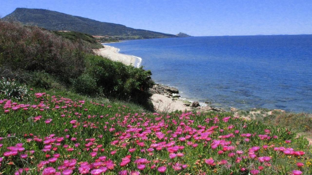 Villa ALBA sul MARE - stupendo appartamento fronte Golfo dell'Asinara - Internet Free Valledoria  Esterno foto