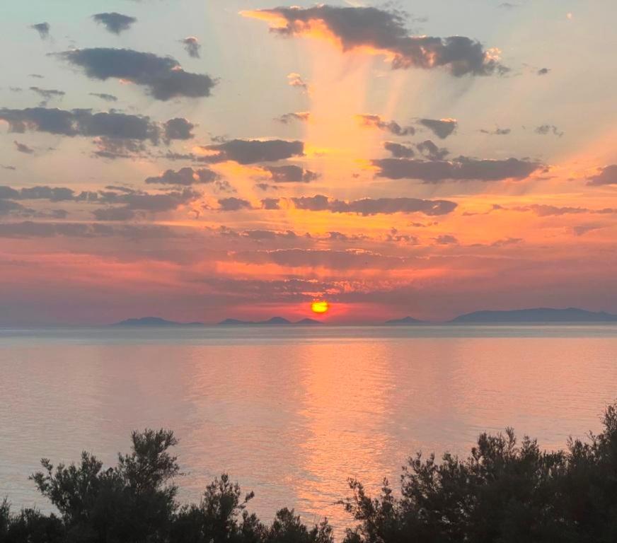 Villa ALBA sul MARE - stupendo appartamento fronte Golfo dell'Asinara - Internet Free Valledoria  Esterno foto